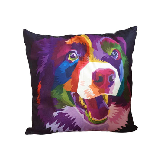 Beautiful Border Collie Throw Cushion