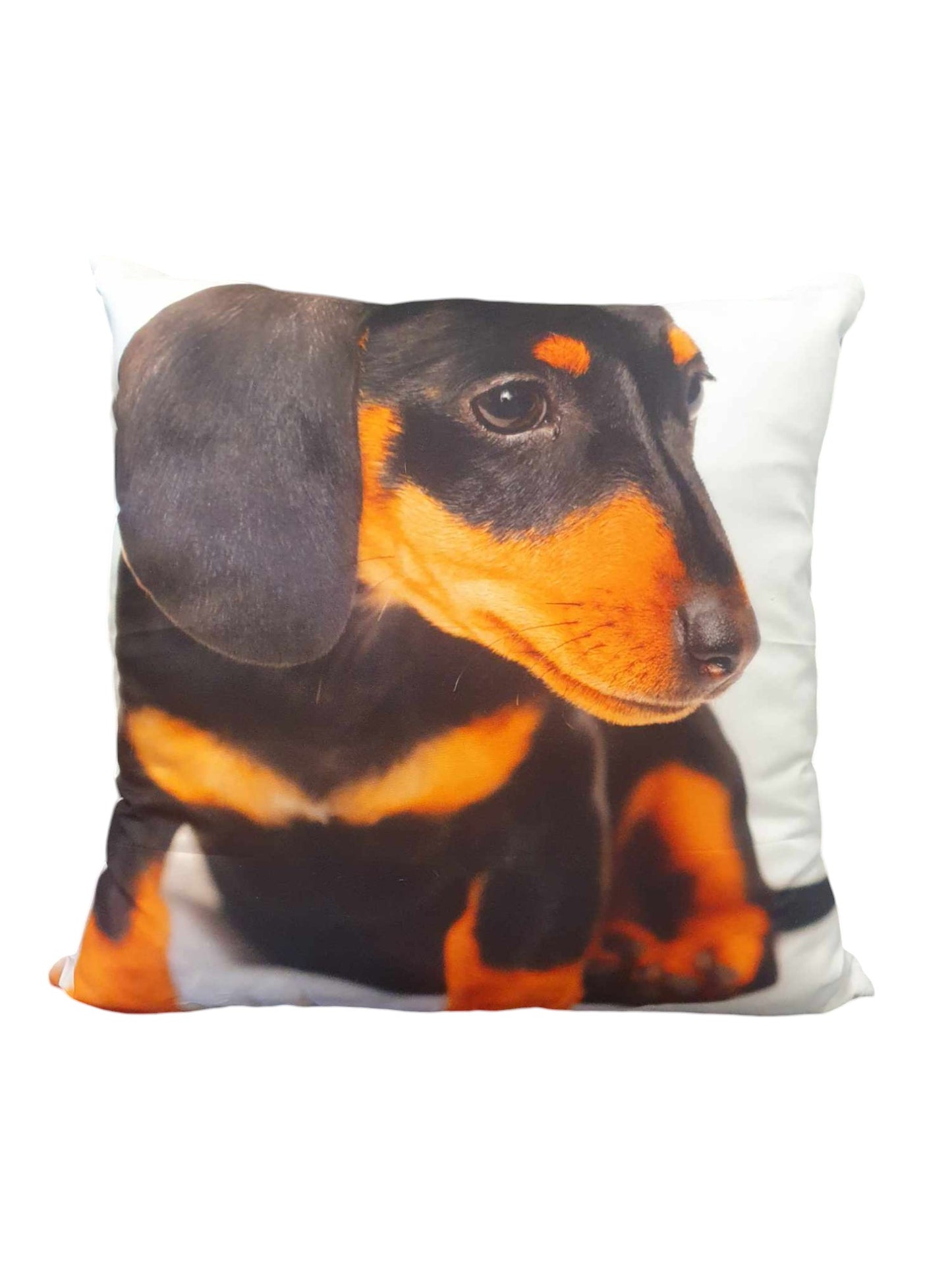 Cute Sausage Dog Throw Cushion