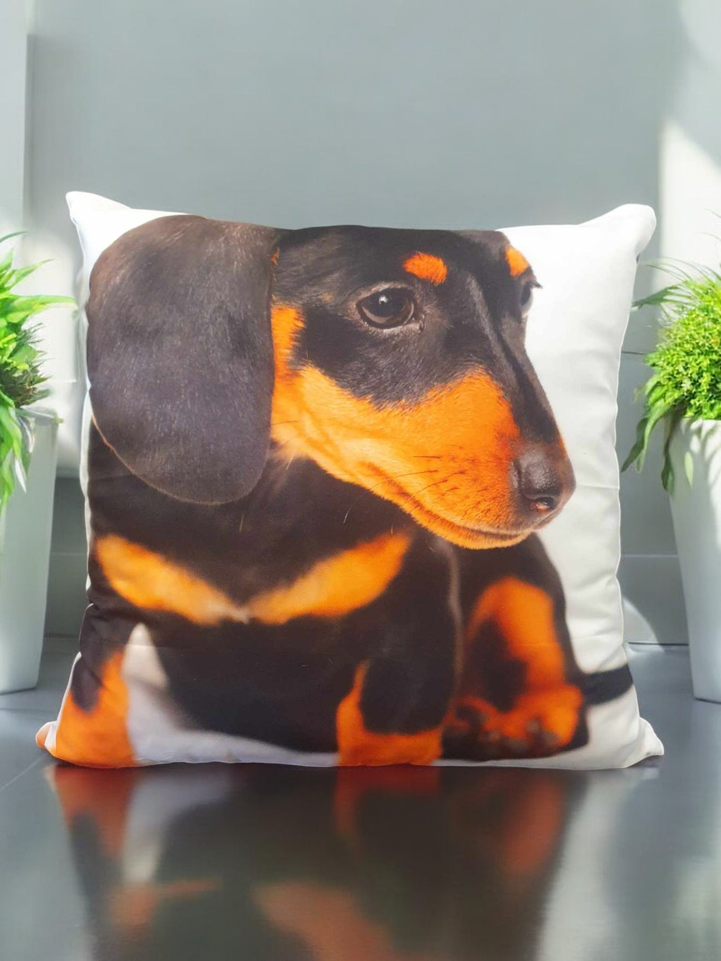 Cute Sausage Dog Throw Cushion