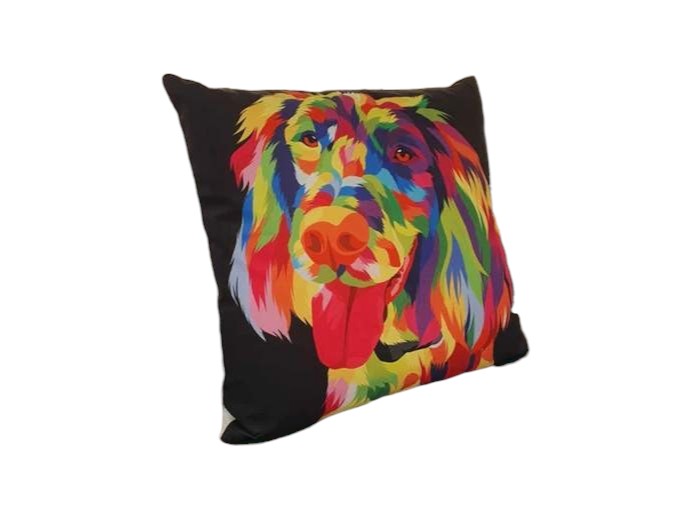 Colourful Springer Throw Cushion