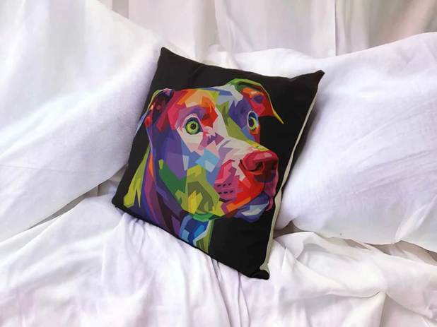 Colourful Staffy Throw Cushion